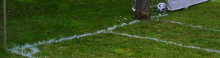 Geburtstagsfest bei der Fussballweltmeisterschaft - stilecht mit Fussballfeld
